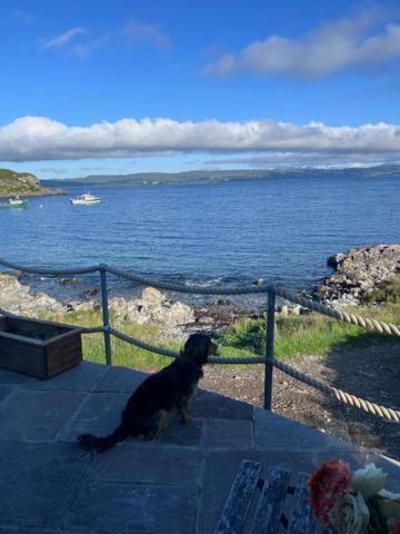 Doune Knoydart Mallaig Εξωτερικό φωτογραφία